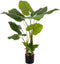 Decoratieve plant 80 x 90 x 140 cm Groen Philodendron