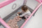 Lionelo Stefi - Campingbedje 3-in-1 - Babybed Reisbedje Box - 60x120 cm - Zij-ingang Rits - Inclusief Matras - Blauw