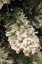 Black Box Trees Millington Kunstkerstboom - H230 x Ø127 cm - Groen Frosted