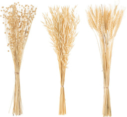 J-Line droogbloemen - Bundel gedroogde bloemen - naturel - 3 stuks