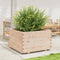 vidaXL - Plantenbak - 80x80x49,5 - cm - massief - grenenhout