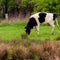 Customize it - Tuindoek polder 210x140cm