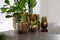 Capi Europe - Bloempot bol Terrazzo Gold - 14x13 - Goud - Opening Ø11.9 - Bloempot voor binnen - 5 jaar garantie - BTZG132