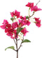 PTMD Garden Flower fuchsia bougainvillea tak