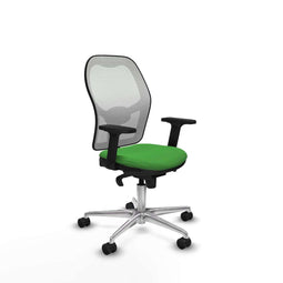 Piqueras y Crespo 2D086N0 - Bureaustoel - Hoogteverstelbaar - Groen