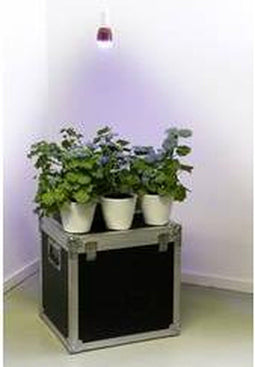 Parus by Venso E27 Kweeklamp "Winter" 7W 120 °, verbeterde fotosynthese en hogere chlorofylvorming, LED-groeilamp, groeilicht voor kamerplanten, groenten, bloemen