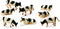 Kids Globe Koeien Zwart/Wit, 8st. 1:87