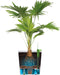 Elho Greensense Aqua Care 38 - Bloempot met Waterreservoir - 100% Gerecycled Plastic - Licht Beton - Ø 38.0 x H 38.9 cm