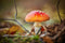 Customize it - Tuinschilderij paddenst tak 130x70cm