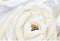 Schilderij DKD Home Decor Vaas 100 x 3 x 80 cm Shabby Chic (2 Stuks)