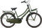Popal Daily Dutch Basic+ N3 - Kinder Transportfiets - 24 Inch - Legergroen