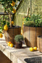 Mica Decorations Durban - Bloempot Buiten - Set van 3 - H36 x Ø40 cm - Lichtgewicht - Bruin (set van 3)