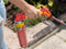 Rothenberger Multigas 300 - Gasfles 600ML - Geschikt voor eco-onkruidbrander - Geel Rood