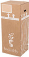 Cactus van Botanicly – Schoonmoedersstoel in een terracotta schaal als set – Hoogte: 17 cm – Echinocactus Grusonii