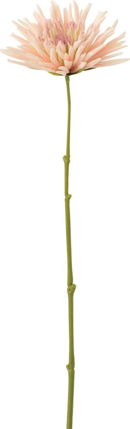 J-Line bloem Chrysant Mini - kunststof - wit/lichtroze - 24 stuks