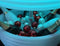Nikki Amsterdam | The.Bowl | Multicolor LED verlichting | Bluetooth Speaker | Bowl | Wijnkoeler | Champagnekoeler | Ijskoeler | Ice Bucket | Ijsemmer | Tuin Verlichting | Feest Verlichting | Met gratis App bedienbaar | 60cm doorsnee |