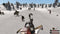 Tale Worlds Mount & Blade - Warband - PS4 - Open wereld RPG (2016)