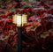 Garden Lights: Larix Buitenlamp 12 Volt - Antraciet