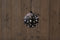 Anna's collection - GLAS BAL ZWART MET STERREN 15CM / LED WARM WIT...