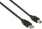 Nedis USB-Kabel - USB 2.0 - USB-A Male - USB-B Male - 2.00 m - Zwart