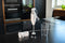 ESGE M 122 S - Staafmixer - 140W 2 snelheden - Kleur niet gespecificeerd
