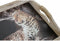 Dienblad DKD Home Decor (2 pcs) (40 x 30 x 6 cm)
