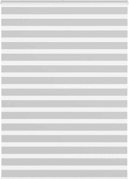 vidaXL - Zebra - rolgordijn - 165x200 - cm - stofbreedte - 160,9 - cm - lichtgrijs