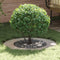 vidaXL - Plantenring - 5 - stuks - Ø50/80 - cm - Roestvrij - staal