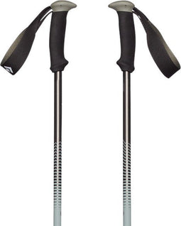 Black Diamond Trail Back Stokken Zilver 100-140 cm