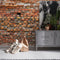 Komar - Fotobehang - Bricklane - 368x248 - cm