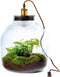 Growing Concepts Hebe Lamp 47cm / 34cm / Botanisch