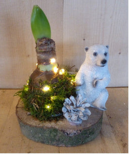 KERSTSTUKJE 'BELGOROD' AMARYLLIS MET IJSBEER OP HOUTEN SCHIJF DIA. 20 CM MET KERSTLAMPJES WARENTUIN NATUURLIJK