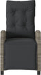 vidaXL - Tuinstoelen - 2 - st - verstelbaar - met - voetensteun - poly - rattan - grijs