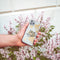iMoshion Hoesje Geschikt voor Samsung Galaxy A42 Hoesje Siliconen - iMoshion Design hoesje - Transparant / Meerkleurig / Goud / Let's Go Travel