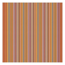 DDDDD Over the Rainbow - Theedoek en Keukendoek - Regenboogdessin - Terra (2 stuks)