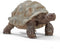 Schleich WILD LIFE - Reuzenschildpad - Speelfiguur - Educatief speelgoed