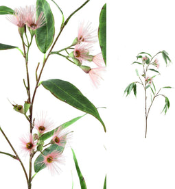 PTMD Eucalyptus Tak Kunstplant - 85 x 50 x 118 cm - Groen/roze