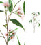 PTMD Eucalyptus Tak Kunstplant - 85 x 50 x 118 cm - Groen/roze