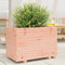 vidaXL - Plantenbak - 70x40x49,5 - cm - massief - douglashout