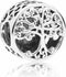 Pandora 797590 - Bedel - Zilver 925