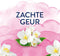Lenor Wasverzachter Jasmijnbloem - 12 x 882 ml - 504 wasbeurten