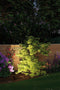 Paulmann Sting - Plug & Shine LED-tuinspot - IP67 3000K 6,4W - Antraciet