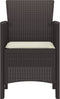 vidaXL - Tuinstoelen - met - Kussens - 4 - stuks - Bruin - Poly - Rattan