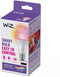 WiZ A67 - Slimme Lamp - Multi-color - E27 (1x)