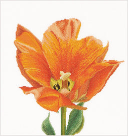 Thea Gouverneur - Borduurpakket met telpatroon - 523 - Voorgesorteerde DMC Garens - Oranje Triumph Tulp - Linnen - 34 cm x 36 cm - DIY Kit