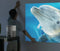 Belesy® Beamer Projector M35 - Mini Beamer - Wit – Full HD Support – Wifi – Android 9.0 – 4.000 Lumen – Contrast 10.000:1 – Beamers - Projectie 30 tot 200 inch - Cadeau - WK 2022 - Moederdag