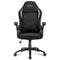 Sharkoon Elbrus 1 Gaming Seat bk/gy