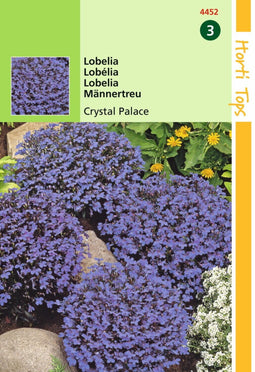 2 stuks - Hortitops - Lobelia erinus comp. Crystal Palace