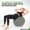 Tunturi Anti Burst Fitnessbal - Yoga bal 65 cm - 220 kg gebruikersgewicht - Incl Pomp en Trainingsapp - Zilver