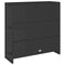 vidaXL - Opbergkast - Zwart - 100x36x102 - cm - Rattan